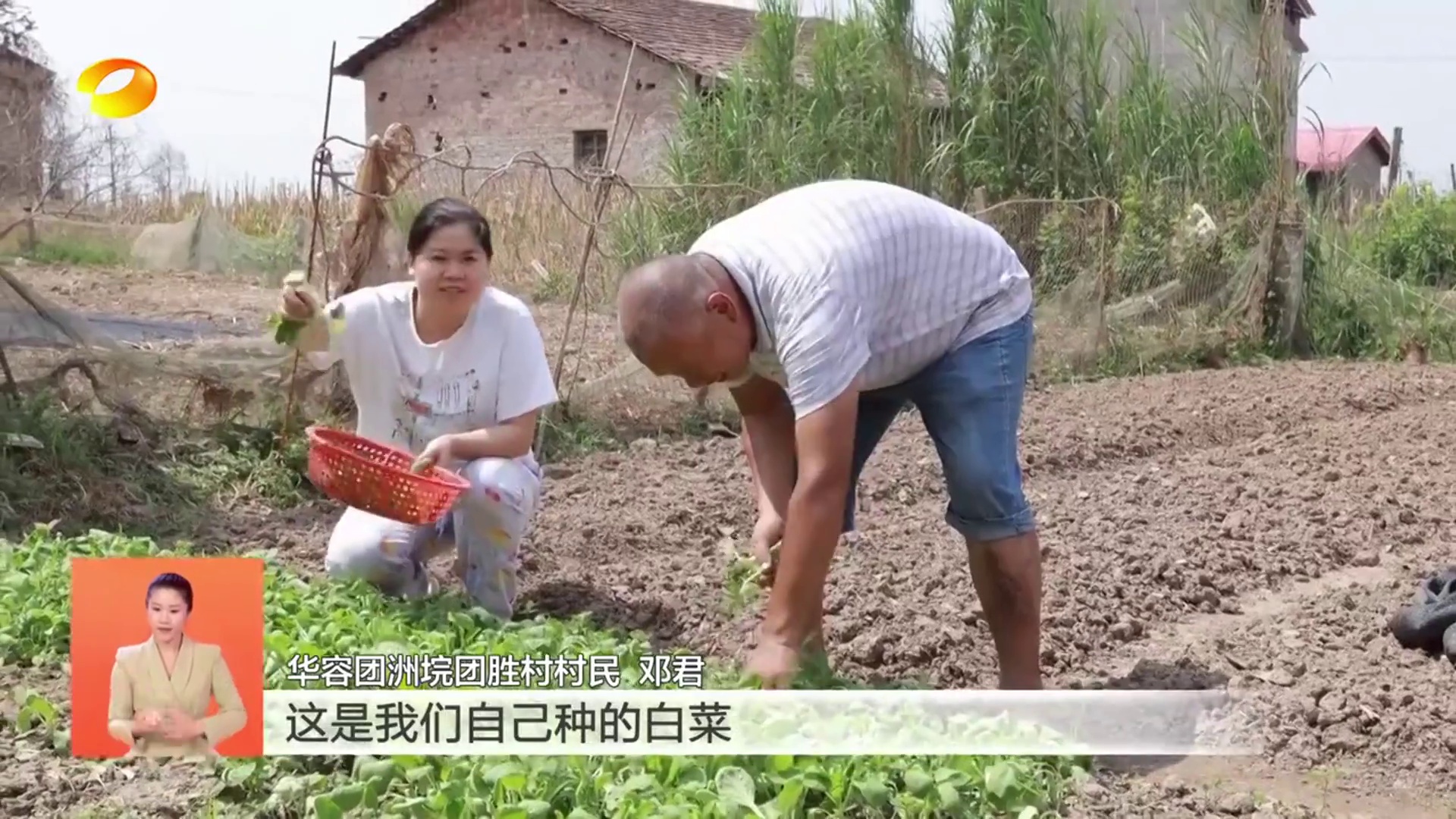 【湖南卫视】我们的节日·中秋 湖南洪涝重灾区的别样中秋